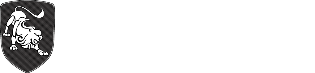 Car Logo